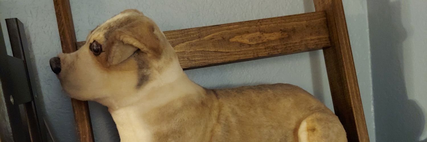 nosduhllib's profile banner image