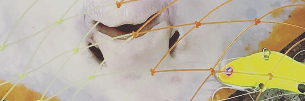 pandashino's profile banner image