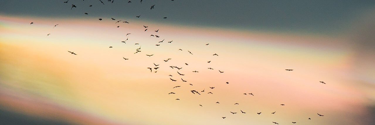 alanikimora's profile banner image