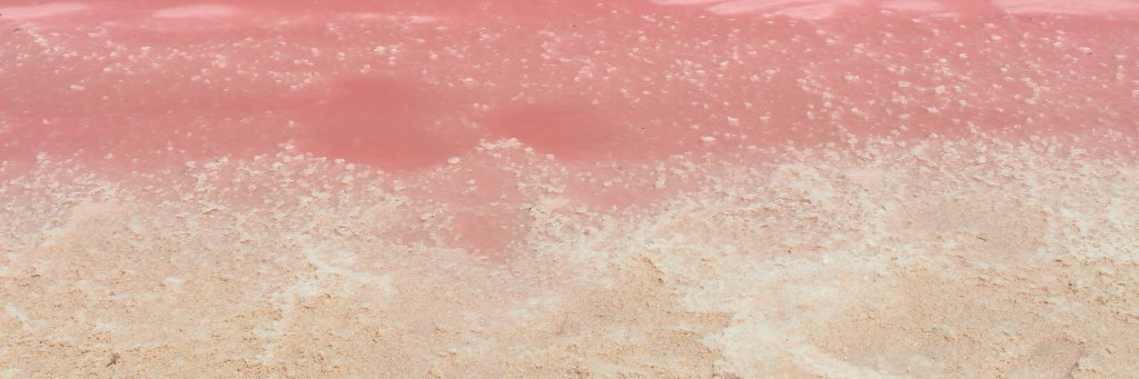 nosoyarantxa's profile banner image