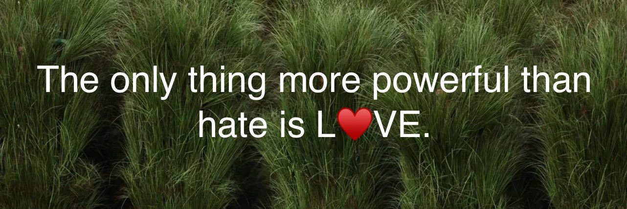 LGTSTweet - LRG ✨Messy Beta Era🩵🌅🌼🦈🥧🪻📙⌛✨ banner