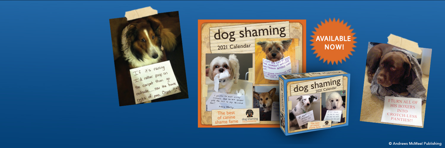 Dog Shaming banner