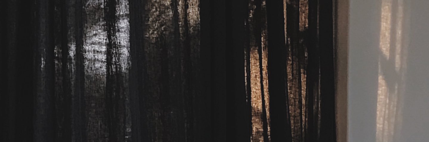 toromanticism's profile banner image