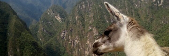 MayPlop's profile banner image