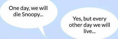 Ibrahim || Website Developer banner