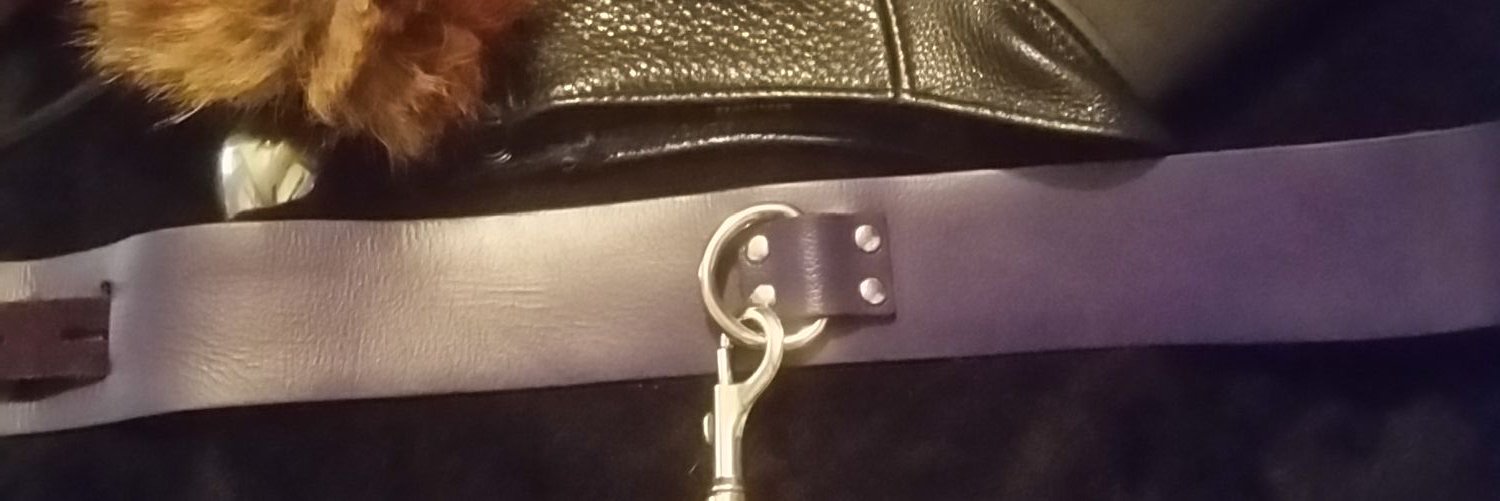 highmistress_'s profile banner image
