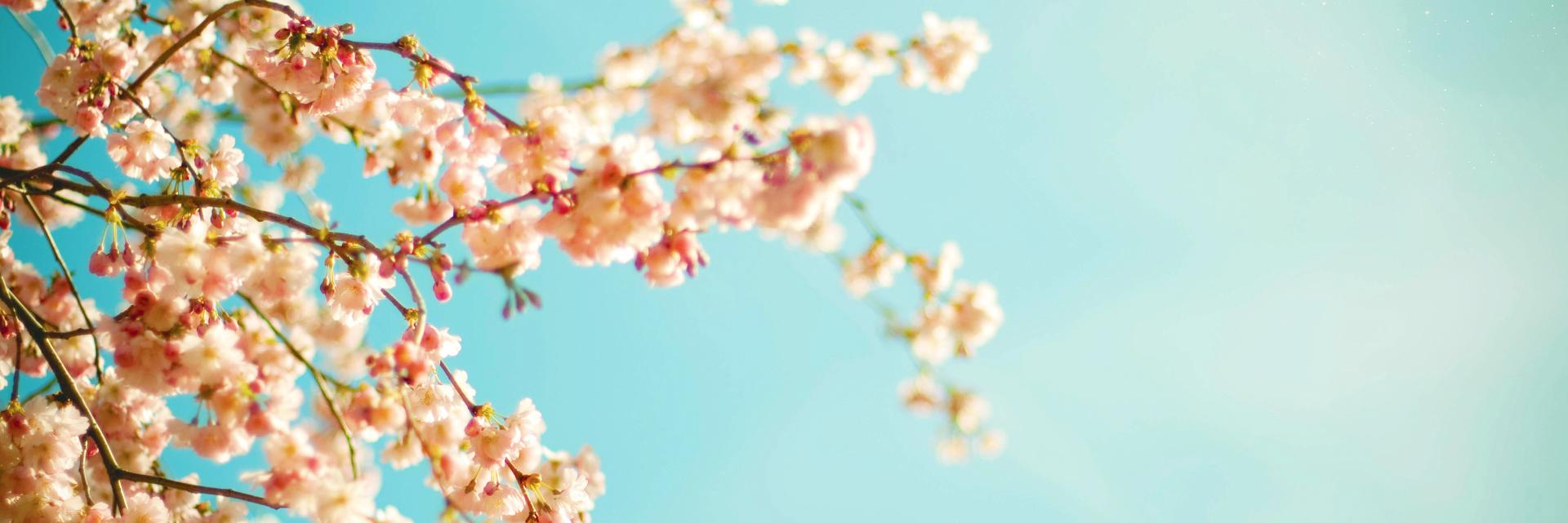 ai93__'s profile banner image