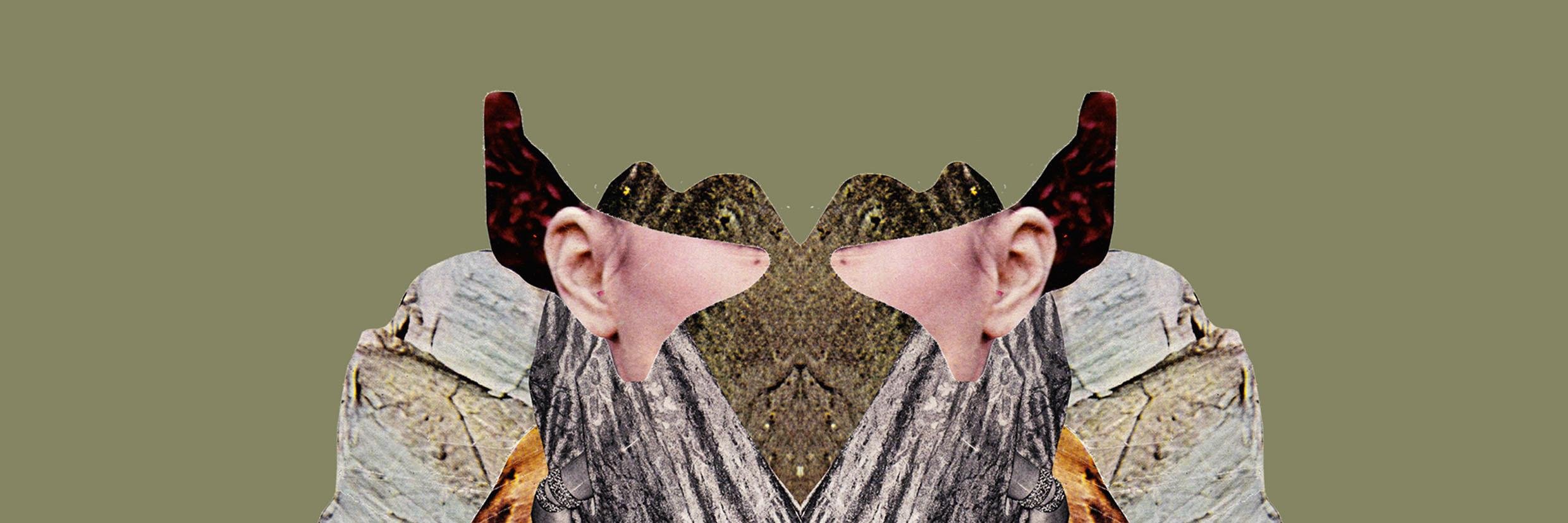 Eclectic Collective banner