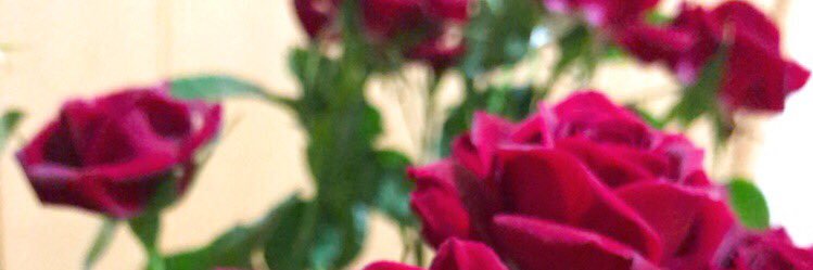 a_dasu_02's profile banner image