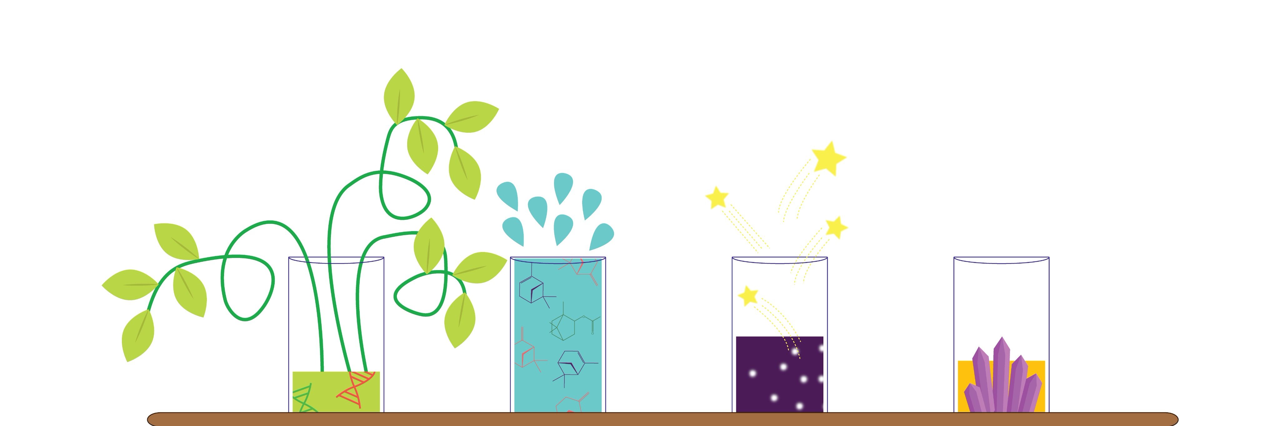 UW Women in Science banner