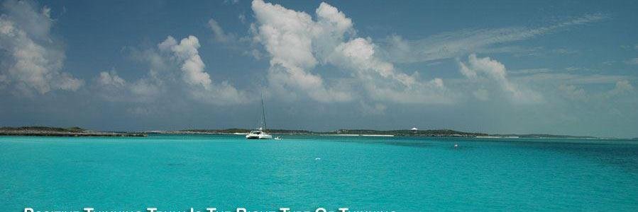 Cindykrose's profile banner image