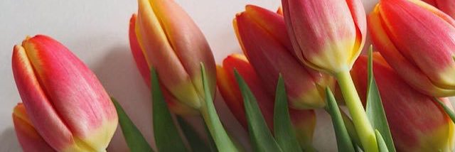 katexdesign's profile banner image