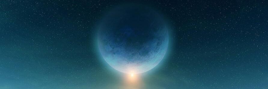 ROBERT TORRES banner