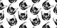 PickensCody's profile banner image