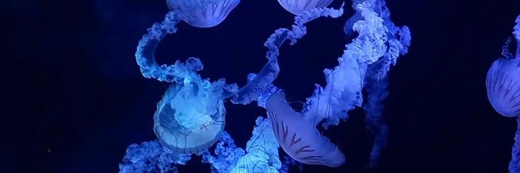 sunndrxw's profile banner image