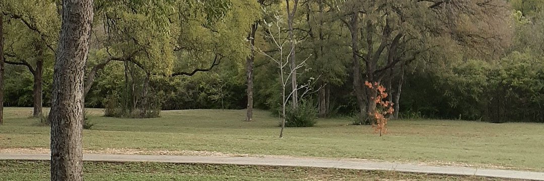 SoulShepherdTK's profile banner image