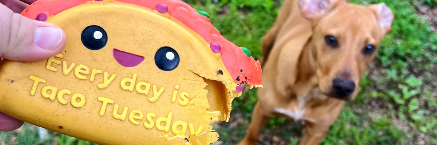 lyonsblakeMA's profile banner image