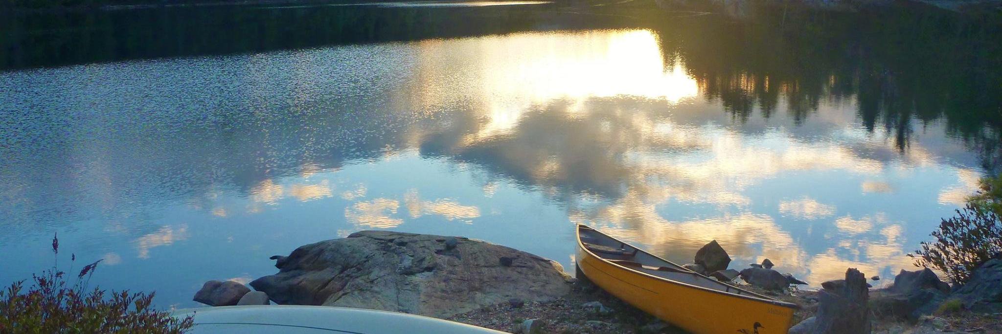 Hannah Malvin banner