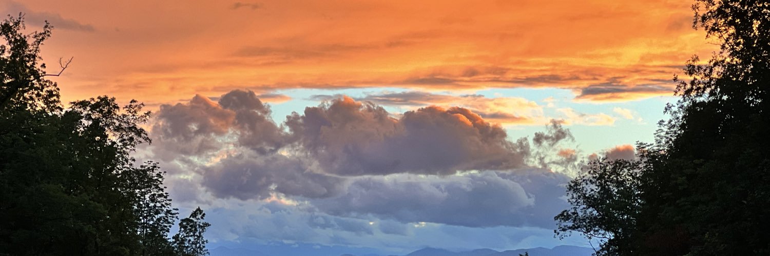 Erica Demick banner