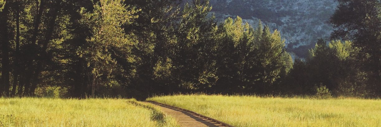 monipig21's profile banner image