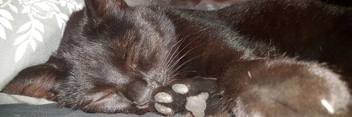 mickeythepuss's profile banner image