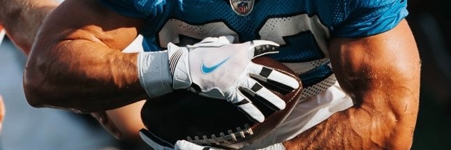 Panthers Fans MX banner