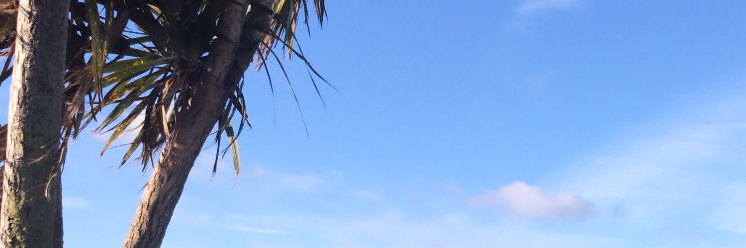 jessprivern's profile banner image