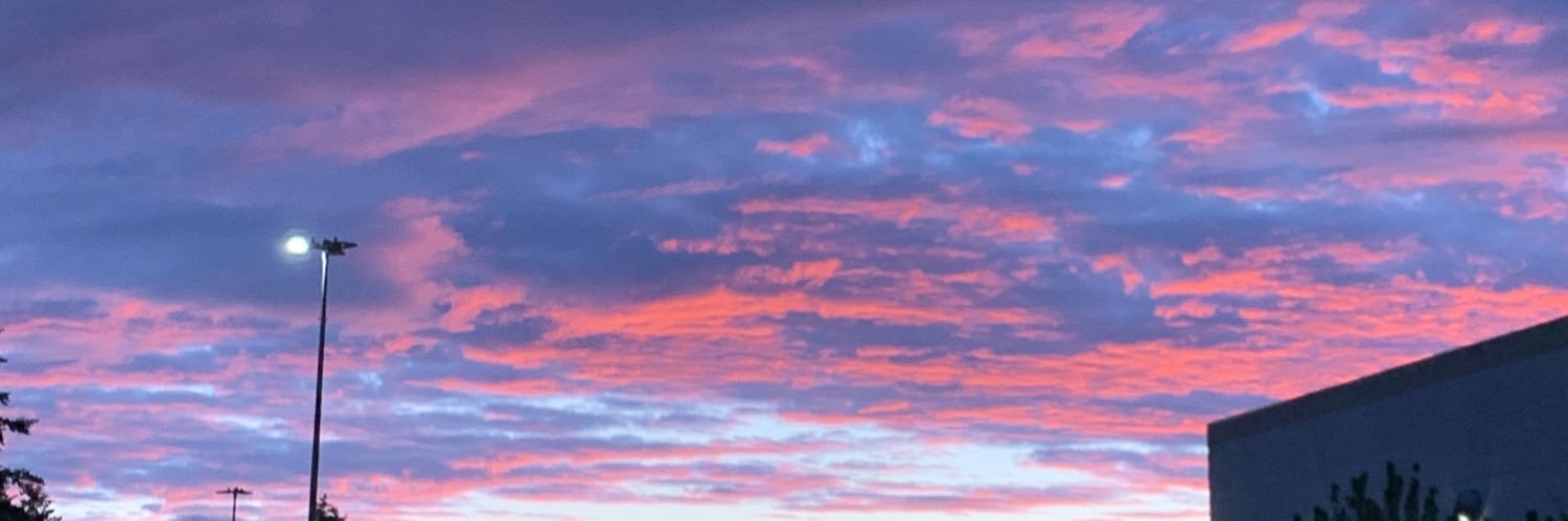 barbararayee's profile banner image