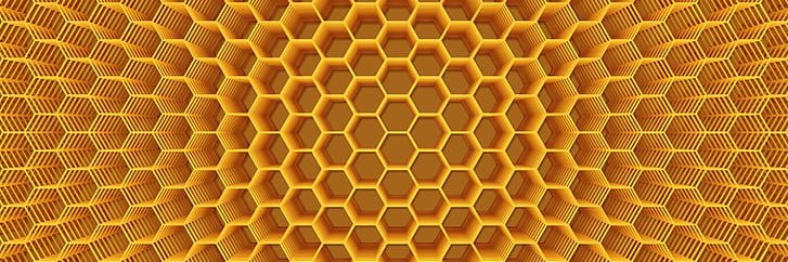 Fly banner