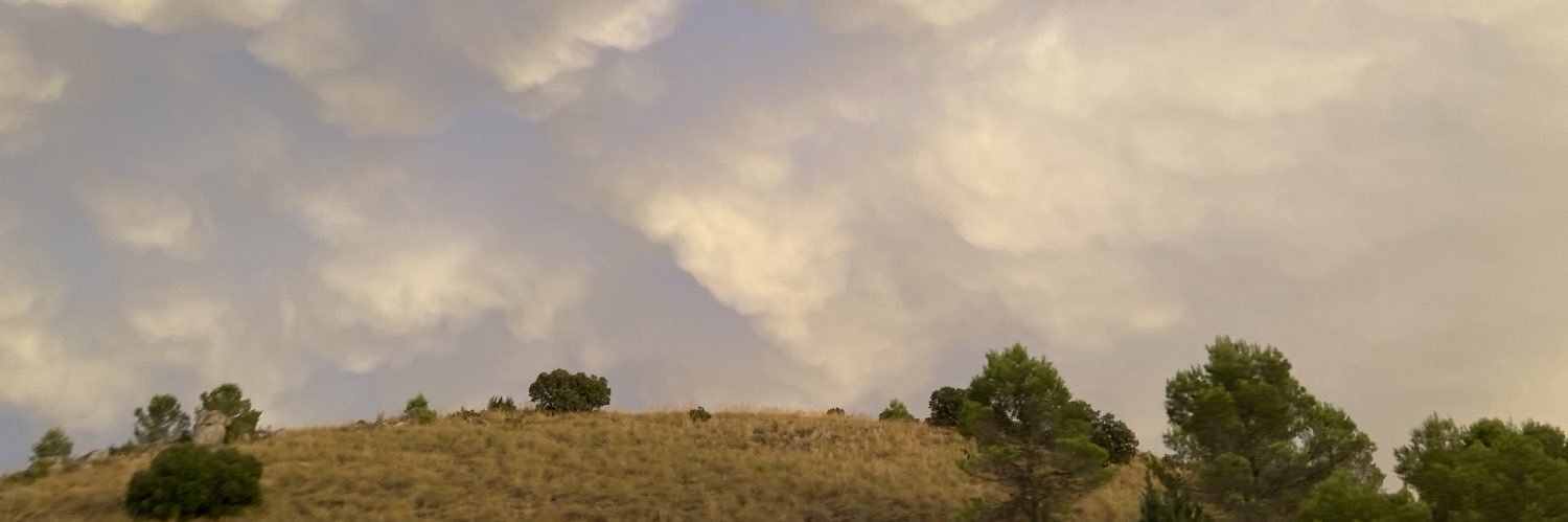 timetransfixed_'s profile banner image