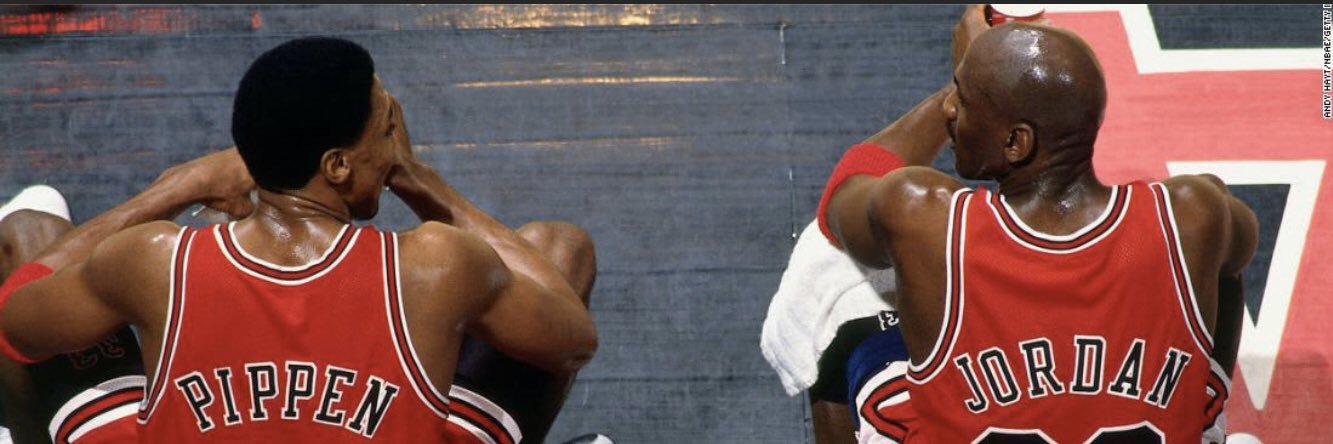 Mshishi the 𓃵 banner