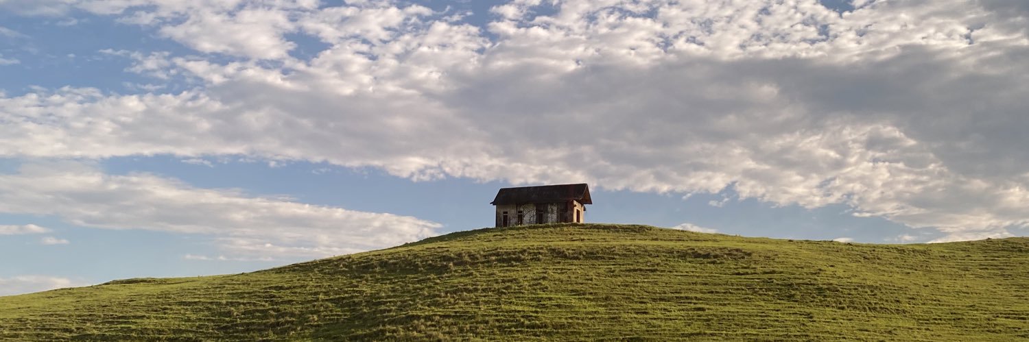 Mongelós 🐝 banner