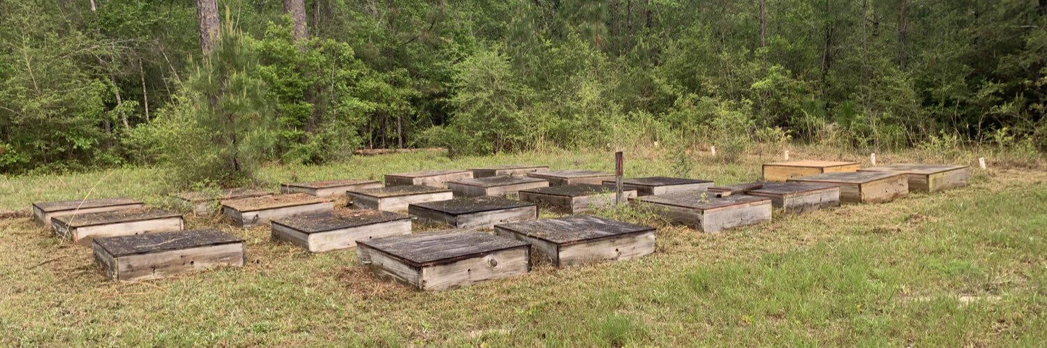 Beth Stokes, PhD banner