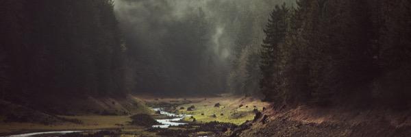 darvingraham's profile banner image