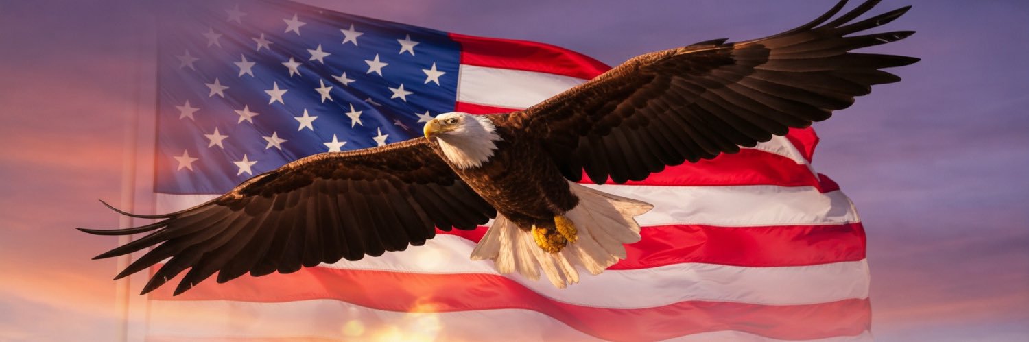 Amir 🇺🇸🇺🇸🇺🇸 banner