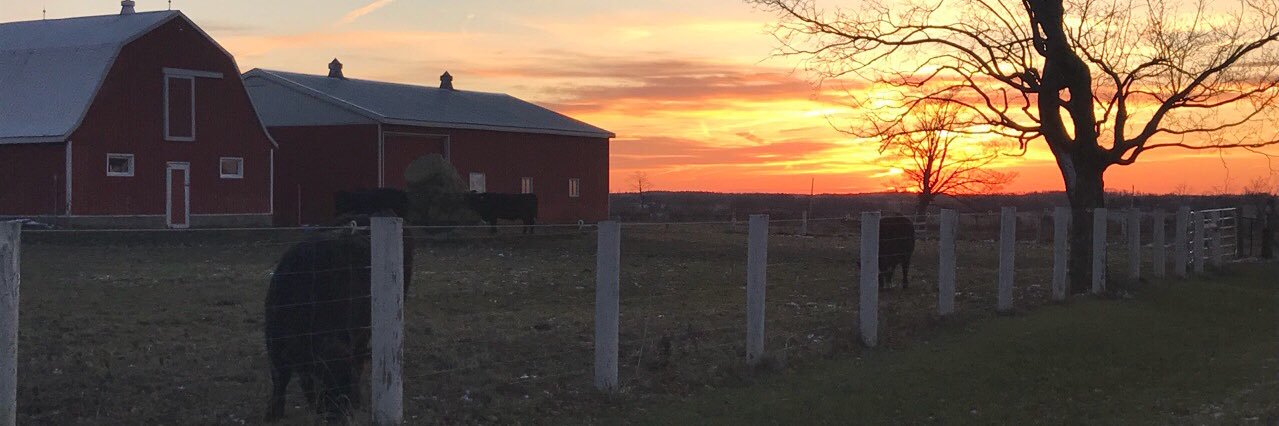 Orok Farms banner