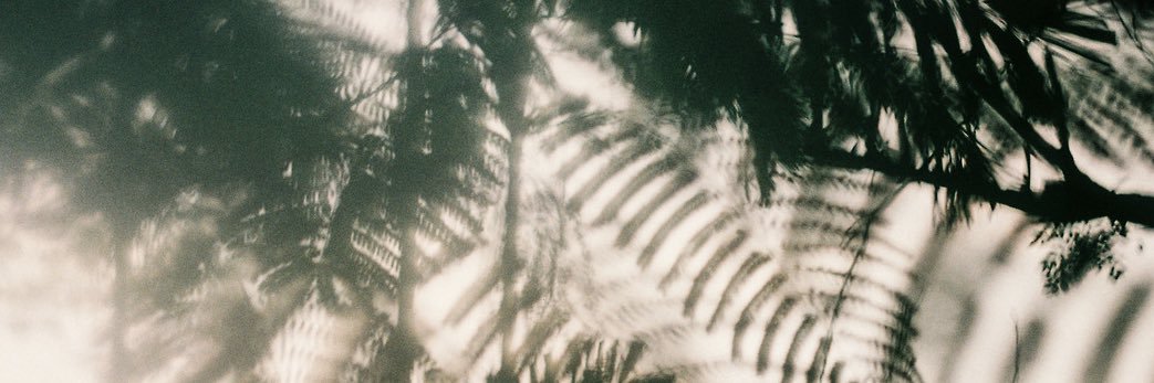 MelissaWinton's profile banner image