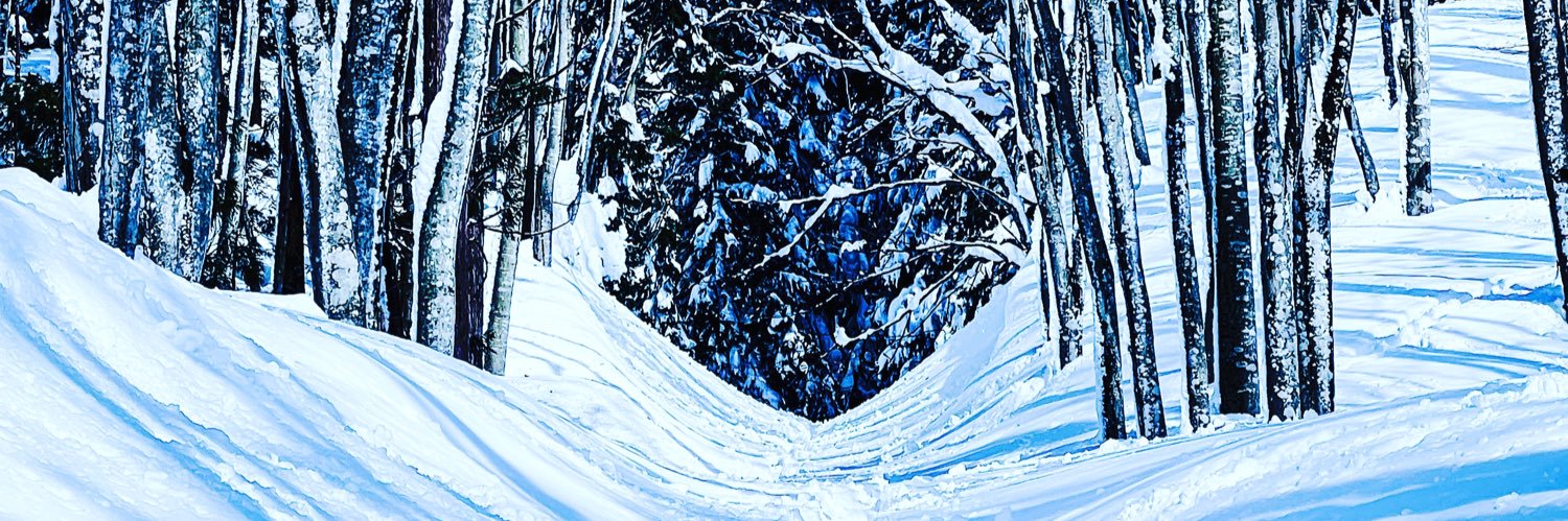 arichika's profile banner image