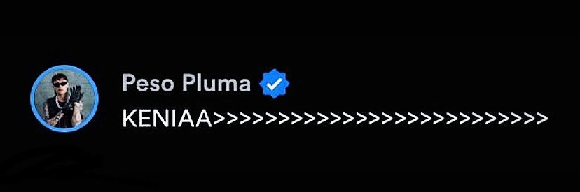 ethan || bieber 🦂 banner