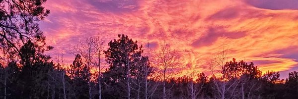 ExposeVaxInjury Profile Banner