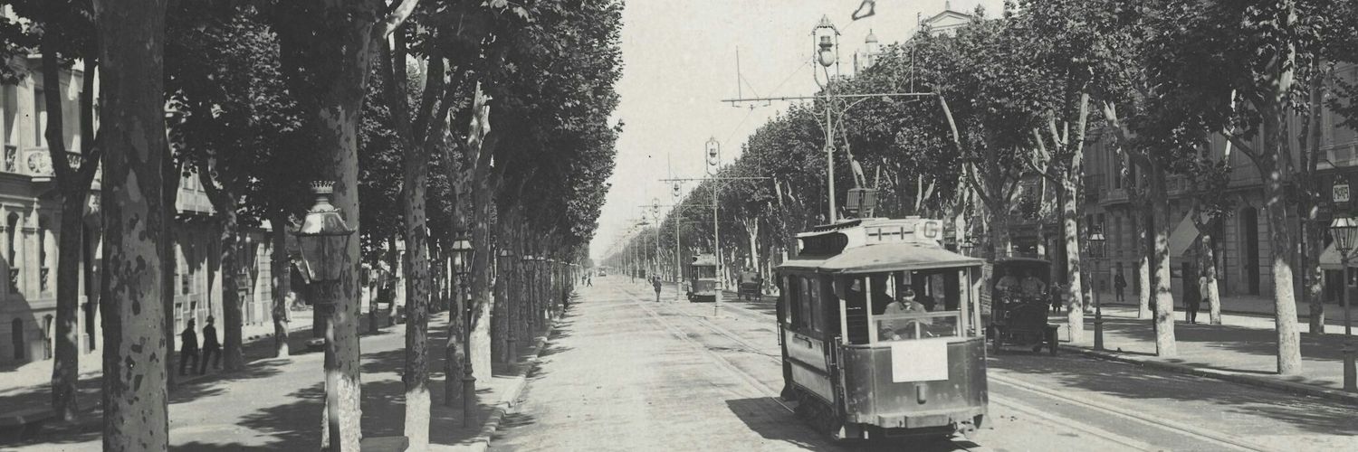 Miéville 🇵🇸 banner