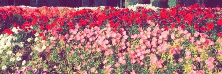 asdd245's profile banner image