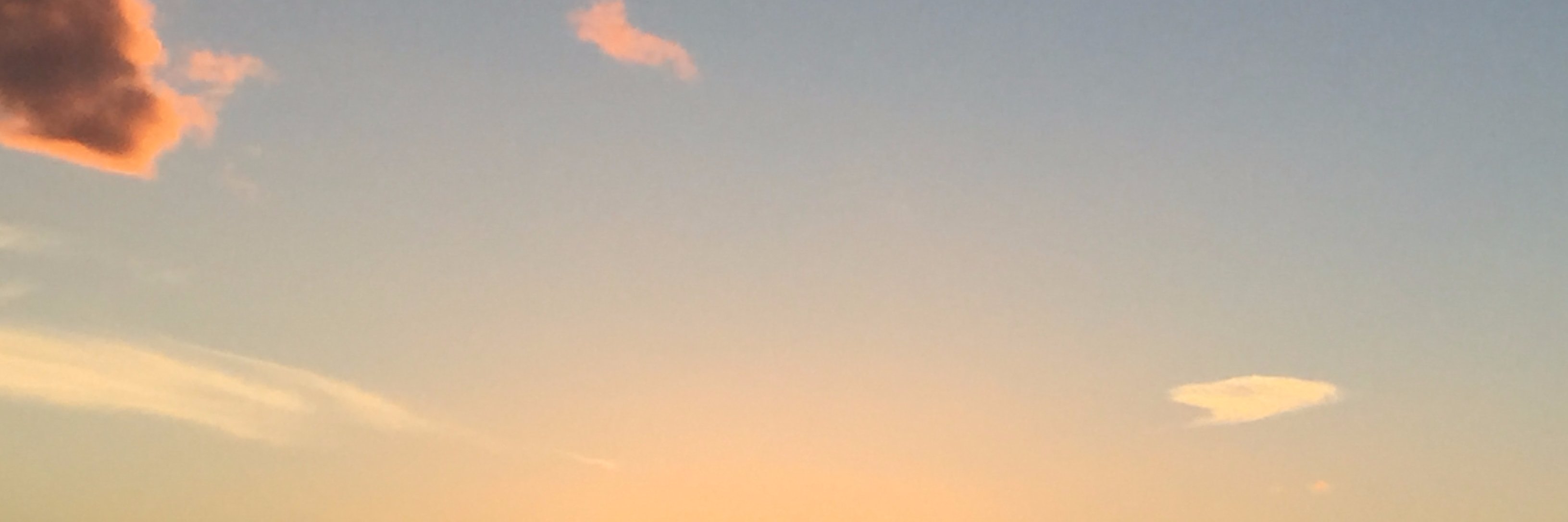 Sanjay Mishra banner