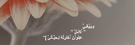 mma0076's profile banner image