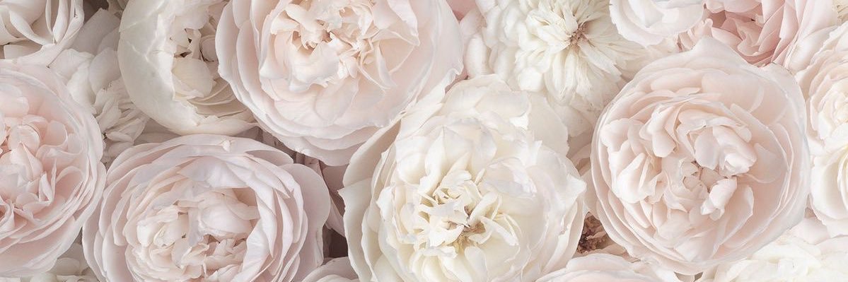 candlb789's profile banner image