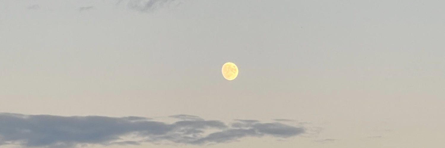 laleinad's profile banner image