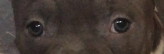 Blak_momba banner