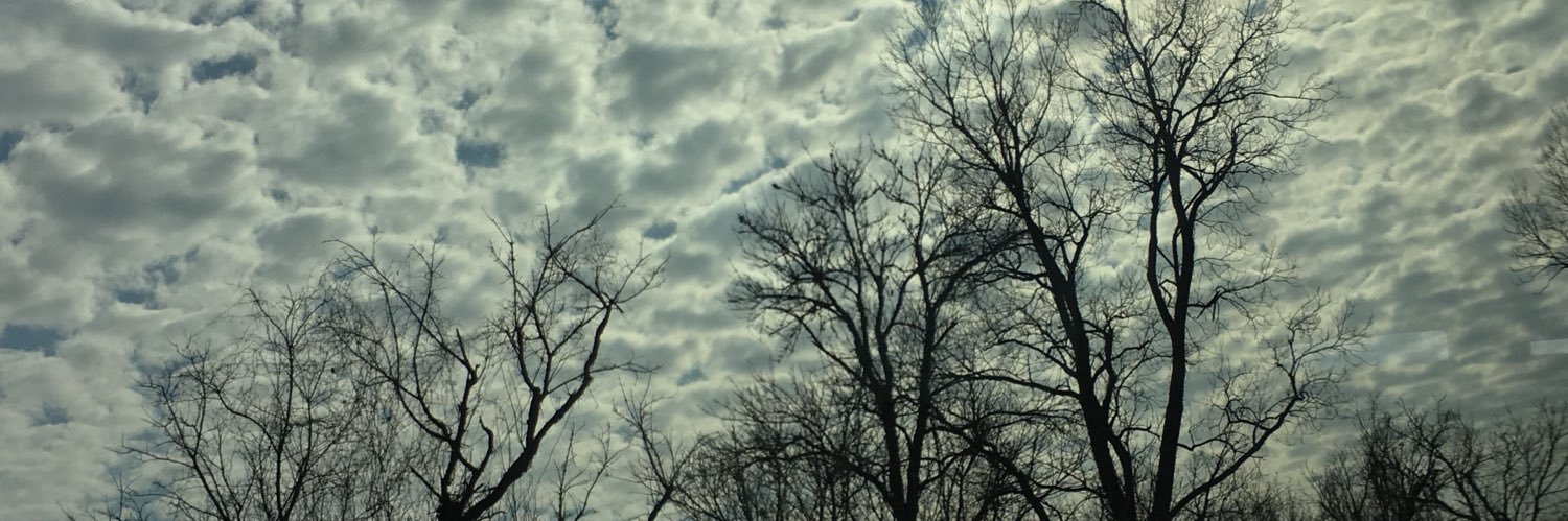 mia_labove's profile banner image