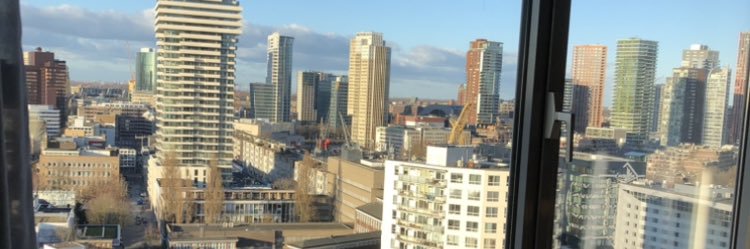 Hans v Willigenburg banner