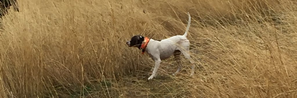 Jeremy Lessmann banner